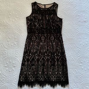 Ann Taylor Loft Petite Lace Dress 00P